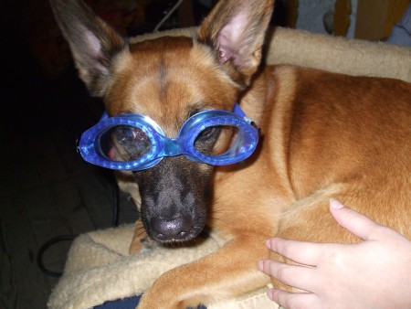   Dasty pred rozplavbou...